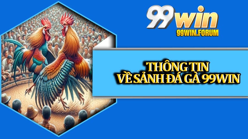 Thông tin về sảnh đá gà 99win